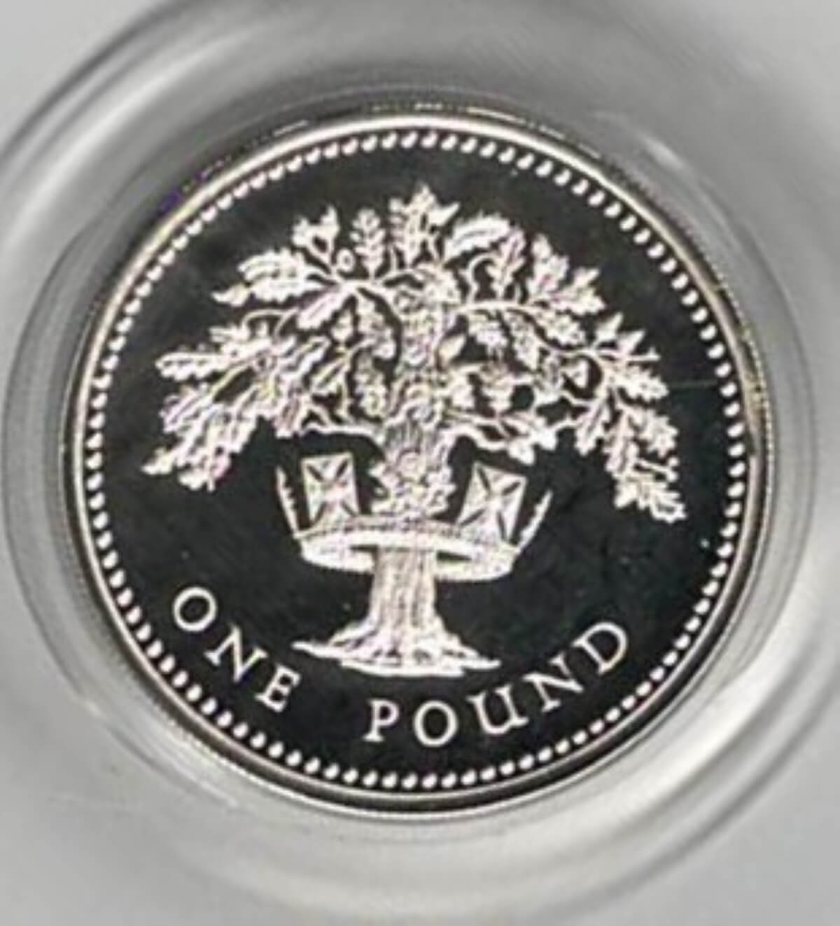 1987 One Pound Silver Proof English Oak