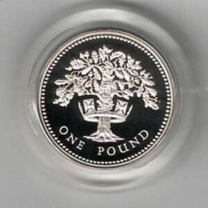 1987 One Pound Piedfort Silver Proof English Oak. This double thickness coin includes the original box and certificate. Ready for dispatch.