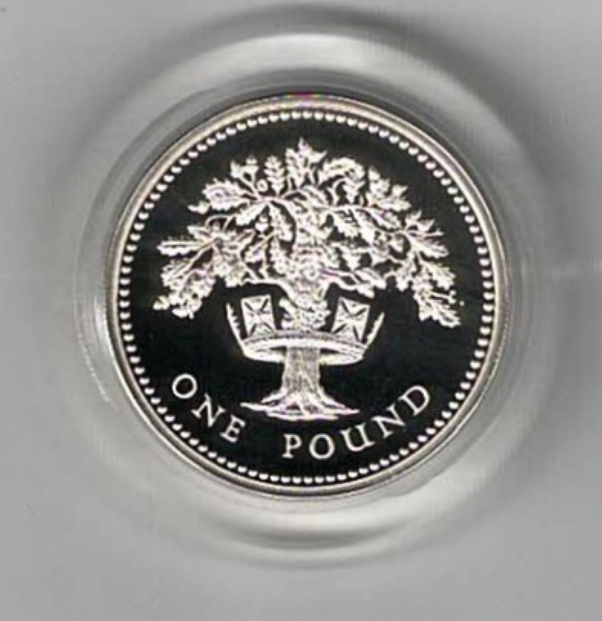 1987 One Pound Piedfort Silver Proof English Oak. This double thickness coin includes the original box and certificate. Ready for dispatch.