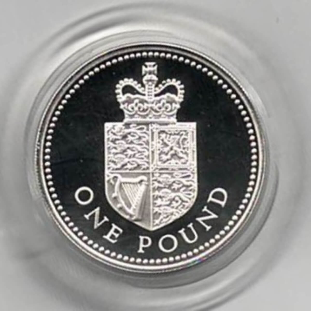 1988 One Pound Silver Proof Crowned Shield on reverse. Elizabeth II on obverse. All coins are in stock and ready to despatch.
