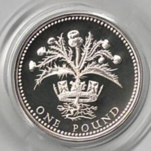 1989 One Pound Silver Proof Scottish Thistle on reverse. Elizabeth II on obverse. All coins in stock and ready to despatch.