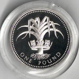 1994 One Pound Silver Proof coin. Welsh Leek on reverse, Elizabeth II on obverse. All coins in stock and ready to despatch.