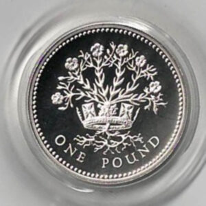 1991 One Pound Silver Proof coin. Northern Irish Flax on reverse, Elizabeth II on obverse. All coins in stock and ready to despatch.