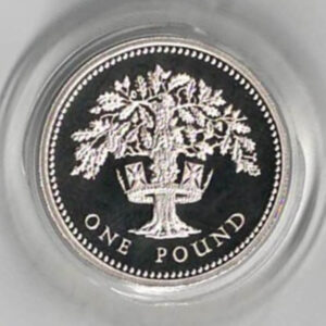 1992 One Pound Silver Proof coin. English Oak on reverse, Elizabeth II on obverse. All coins in stock and ready to despatch.