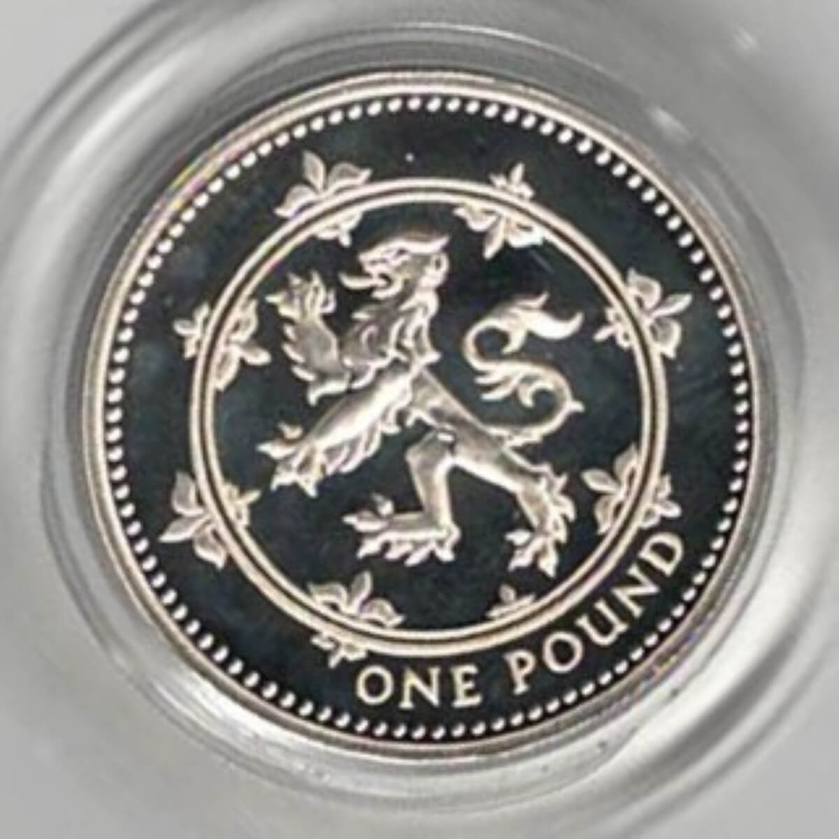 1999 One Pound Silver Proof coin with Scottish Lion on reverse. Elizabeth II on obverse. All coins in stock and ready to despatch.