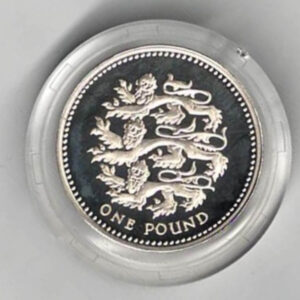 2002 One Pound Silver Proof coin. Three Lions reverse, Elizabeth II on obverse. All coins in stock and ready to despatch.