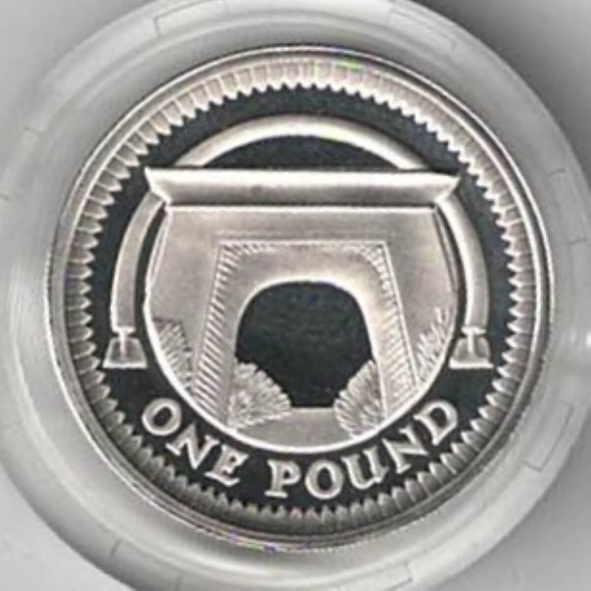 2006 One Pound Silver Proof coin. Egyptian Arch Bridge on reverse, Elizabeth II on obverse. All coins in stock and ready to despatch.