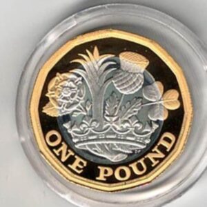 2017 One Pound Silver Proof 'Designing The Future' Coin. Silver proof one pound coin. All coins in stock and ready to despatch.