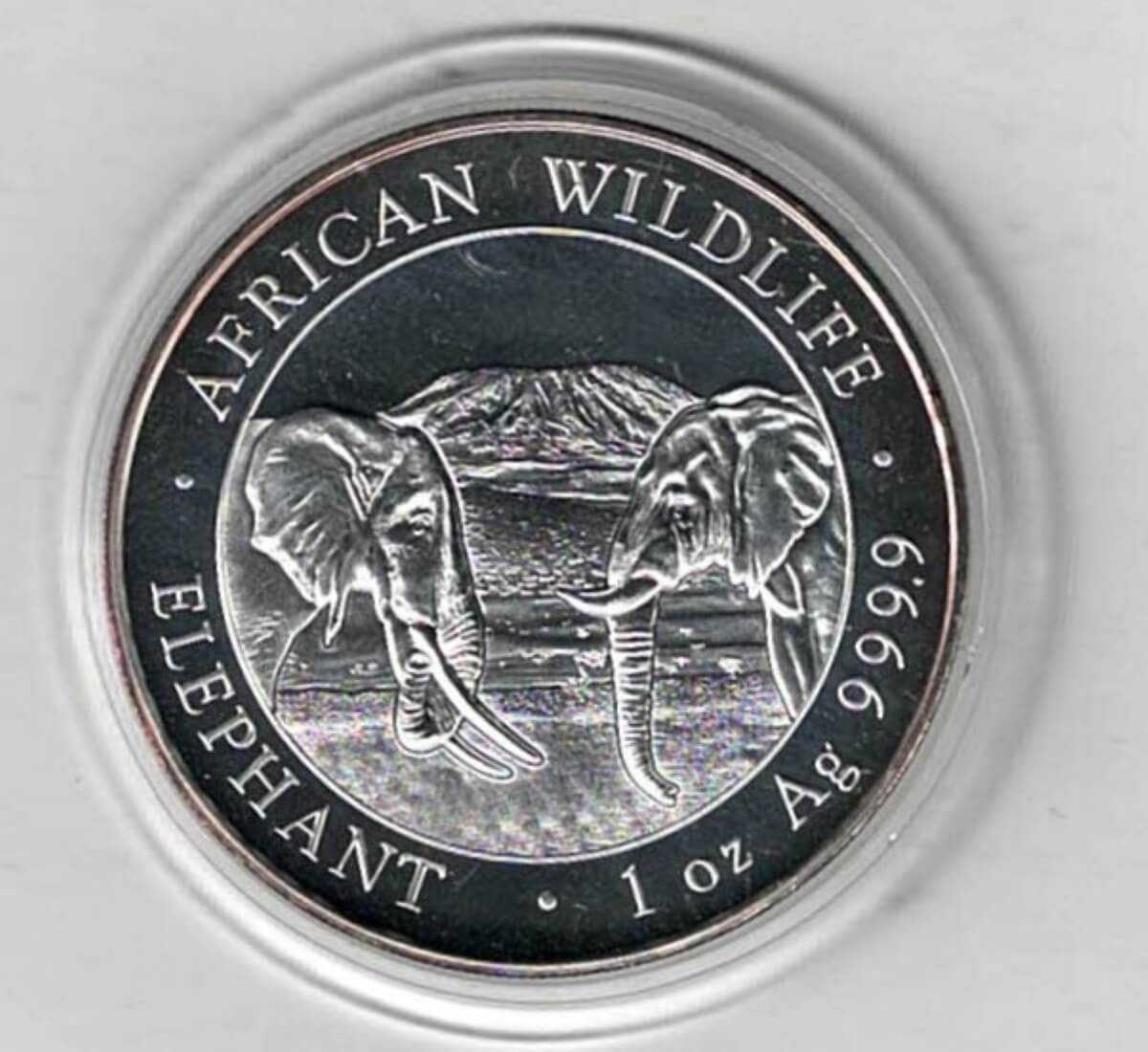 2020 Silver Somali republic One Ounce Elephant. This Coin does feature an Elephant. The coin contains one ounce of 999.9 fine silver.
