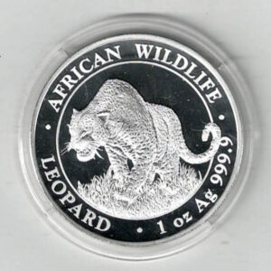 2023 Silver Somali republic One Ounce Leopard. This Coin does feature a Leopard. The coin contains one ounce of 999.9 fine silver.