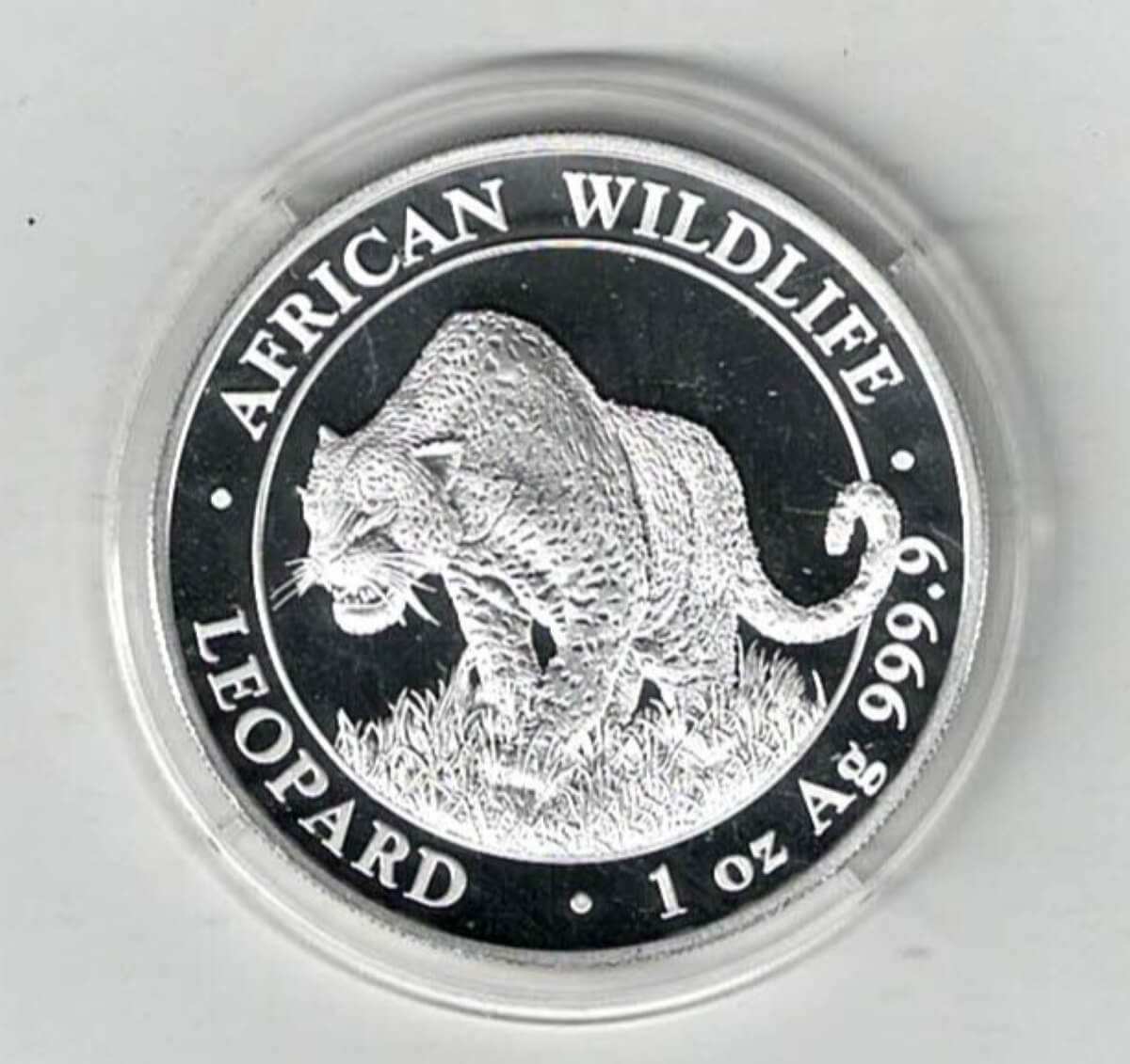 2023 Silver Somali republic One Ounce Leopard. This Coin does feature a Leopard. The coin contains one ounce of 999.9 fine silver.