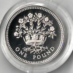 1986 One Pound Silver Proof Northern Irish Flax on reverse. Elizabeth II on obverse. All coins in stock and ready to despatch.