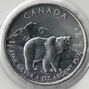 2011 Silver Canada One Ounce Grizzly Bear coin. Elizabeth II is on the obverse, The Bear is on the reverse. The coin contains one ounce of 9999 fine silver.