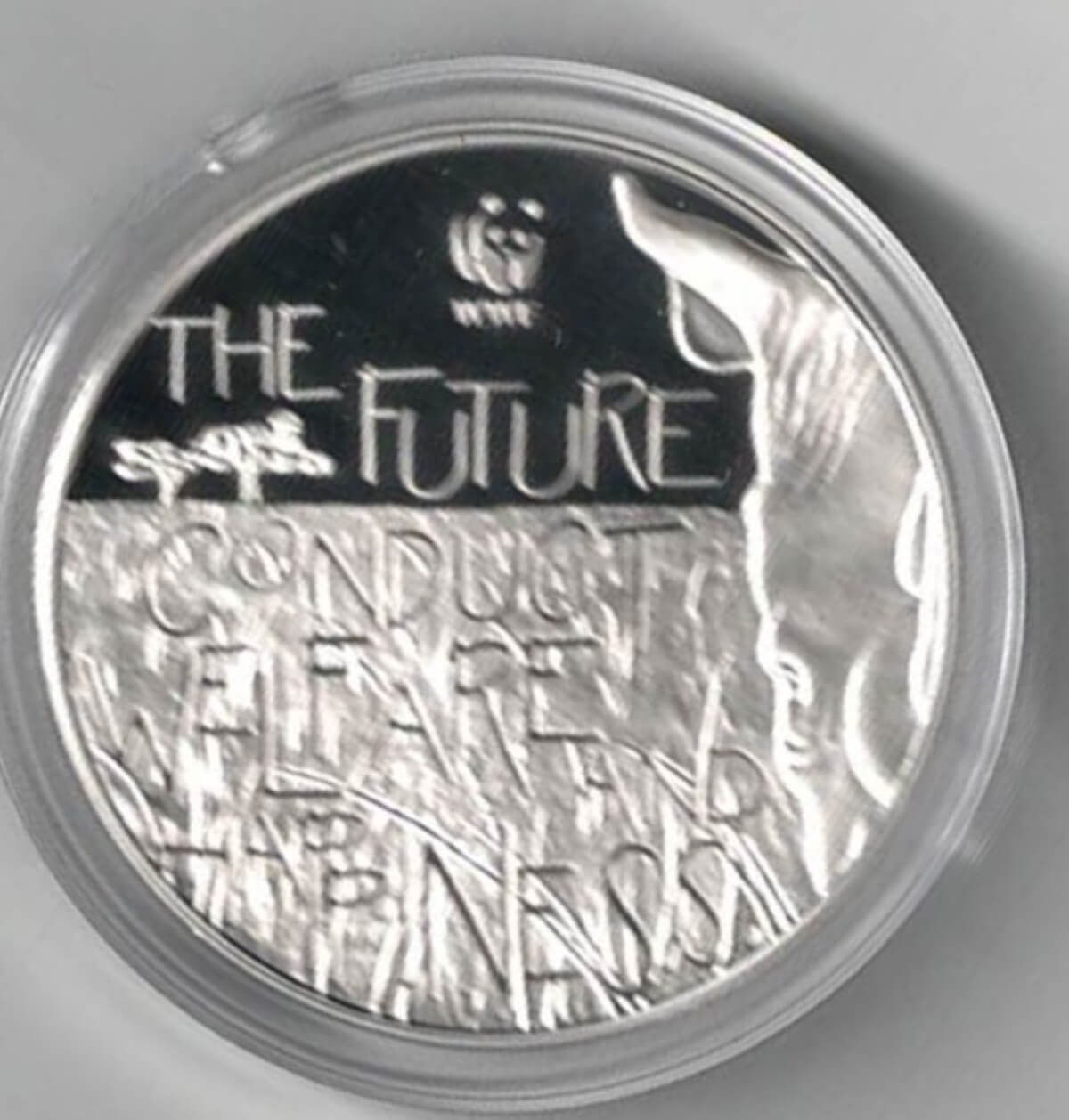 Silver Proof Medal WWF Rhino - Image 2