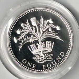 1984 One Pound Silver Proof Scottish Thistle. This coin includes the original box and certificate. All coins in stock and ready to despatch.