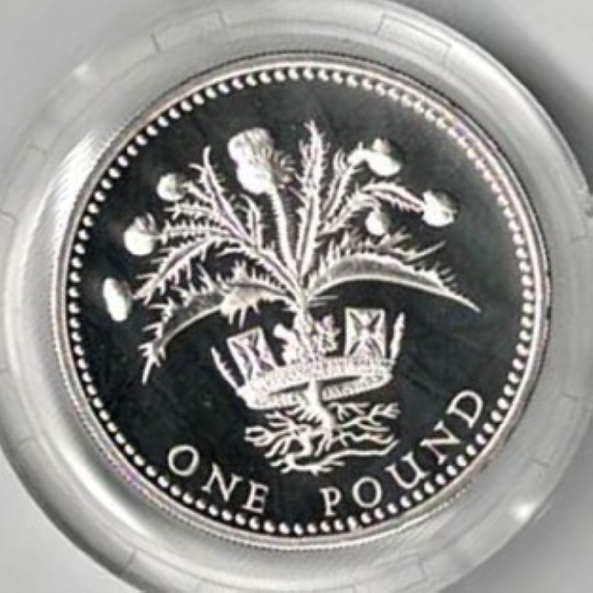 1984 One Pound Silver Proof Scottish Thistle. This coin includes the original box and certificate. All coins in stock and ready to despatch.