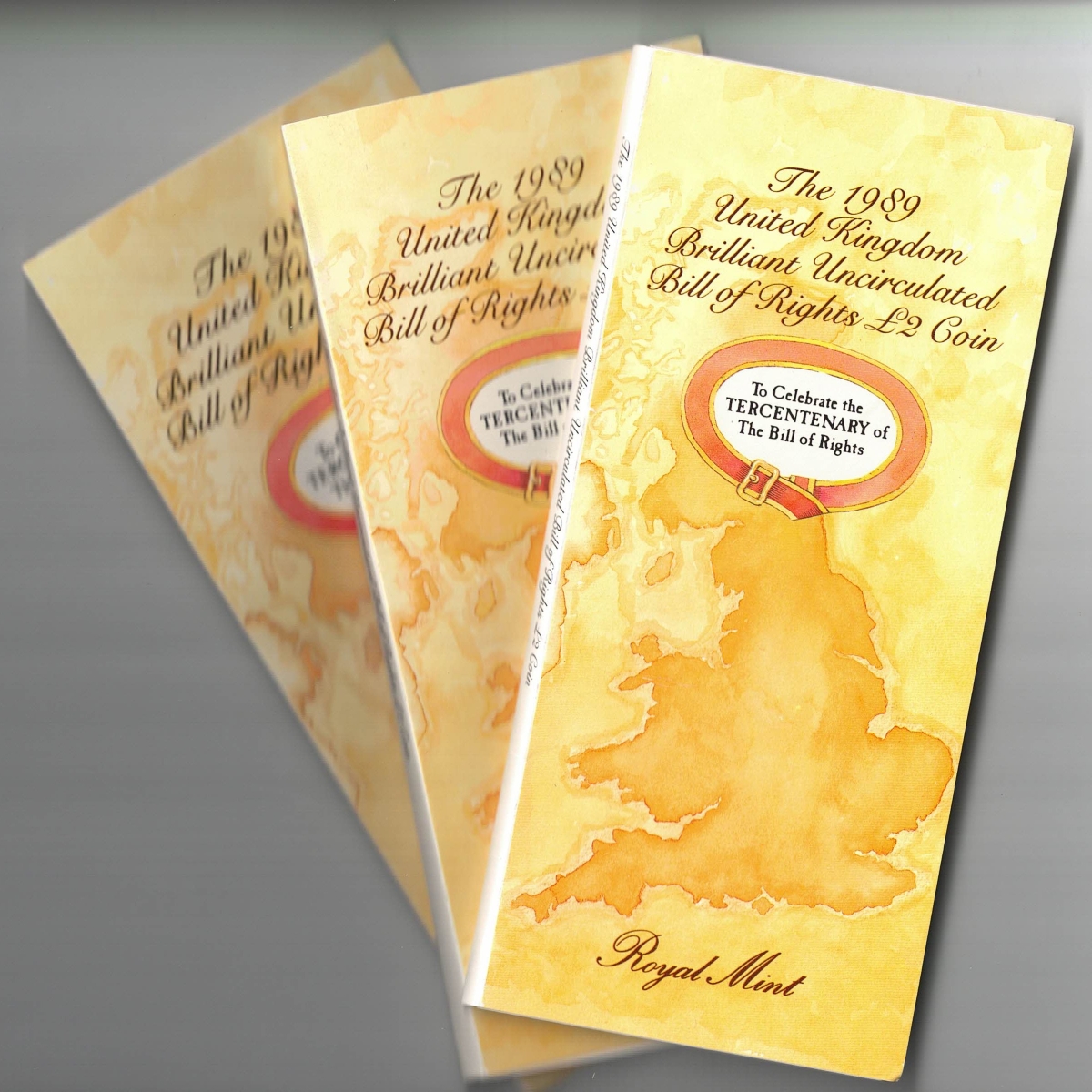 1989 Royal Mint Two Pound coin - Bill Of Rights (set of three) - Image 2