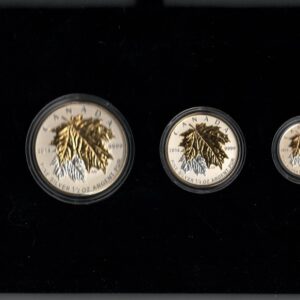2014 Silver Reverse Proof Canadian Maple Set - five Coins. This set features Elizabeth II on the obverse. Boxed with certificate.