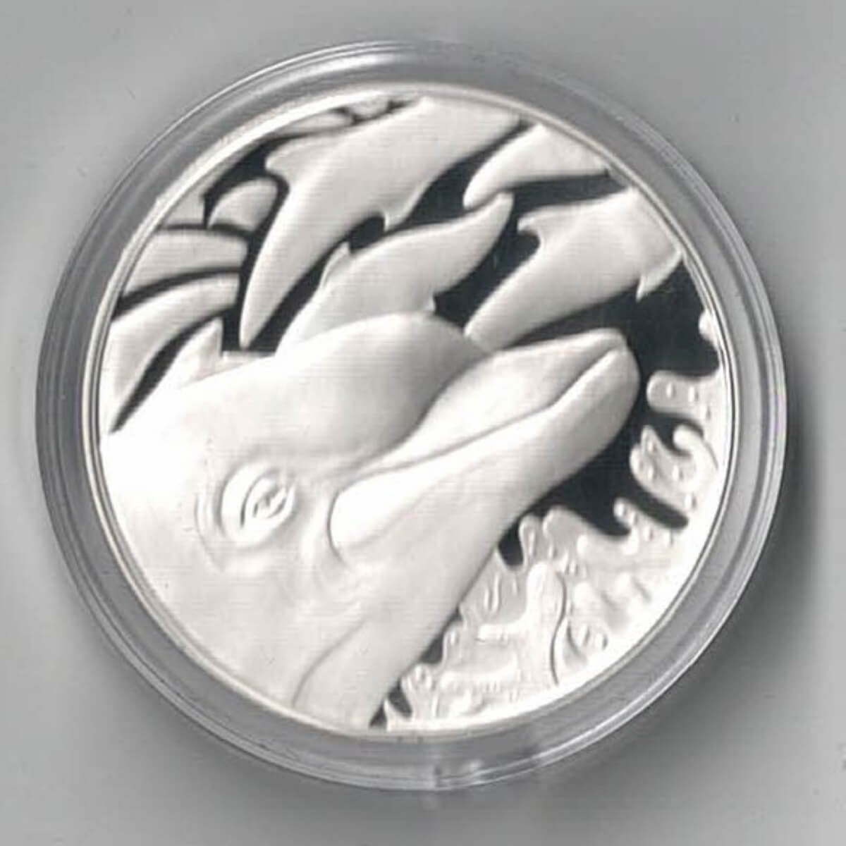Silver Proof Medal, WWF Dolphin design struck in 925 silver, in presentation box with certificate. In stock and ready to despatch.